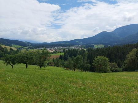 Kulturno popotovanje po Vorančevi poti (32)